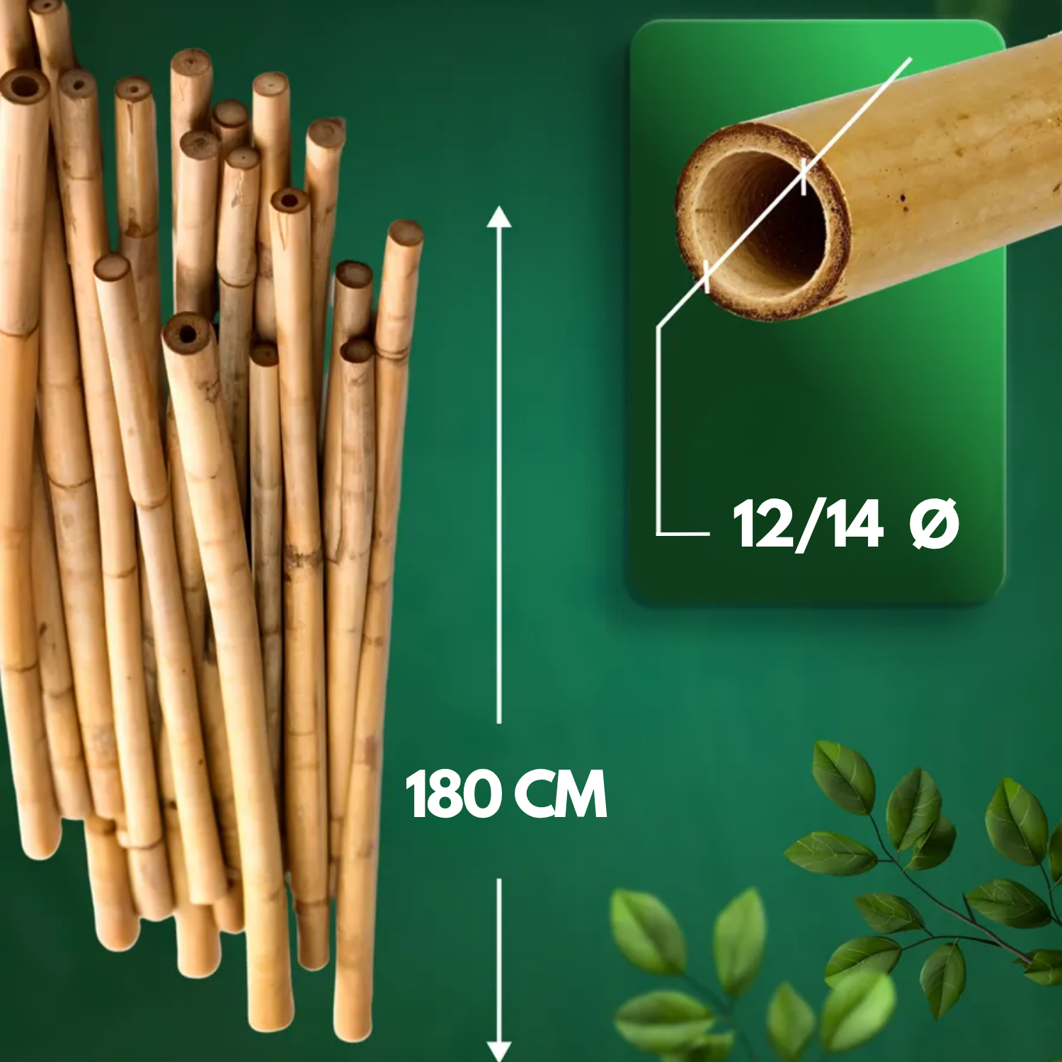 Canne Bambù Giardinaggio Naturali Cannette Bastoncini Supporto Piante Orto Sostegni Tutore Pali Resistenti Rampicanti Giardino Pomodori Melanzane