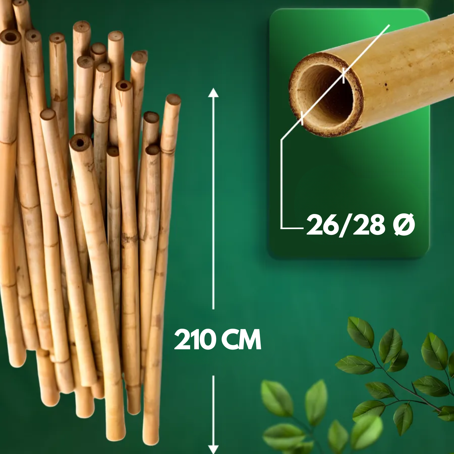 Canne Bambù Giardinaggio Naturali Cannette Bastoncini Supporto Piante Orto Sostegni Tutore Pali Resistenti Rampicanti Giardino Pomodori Melanzane