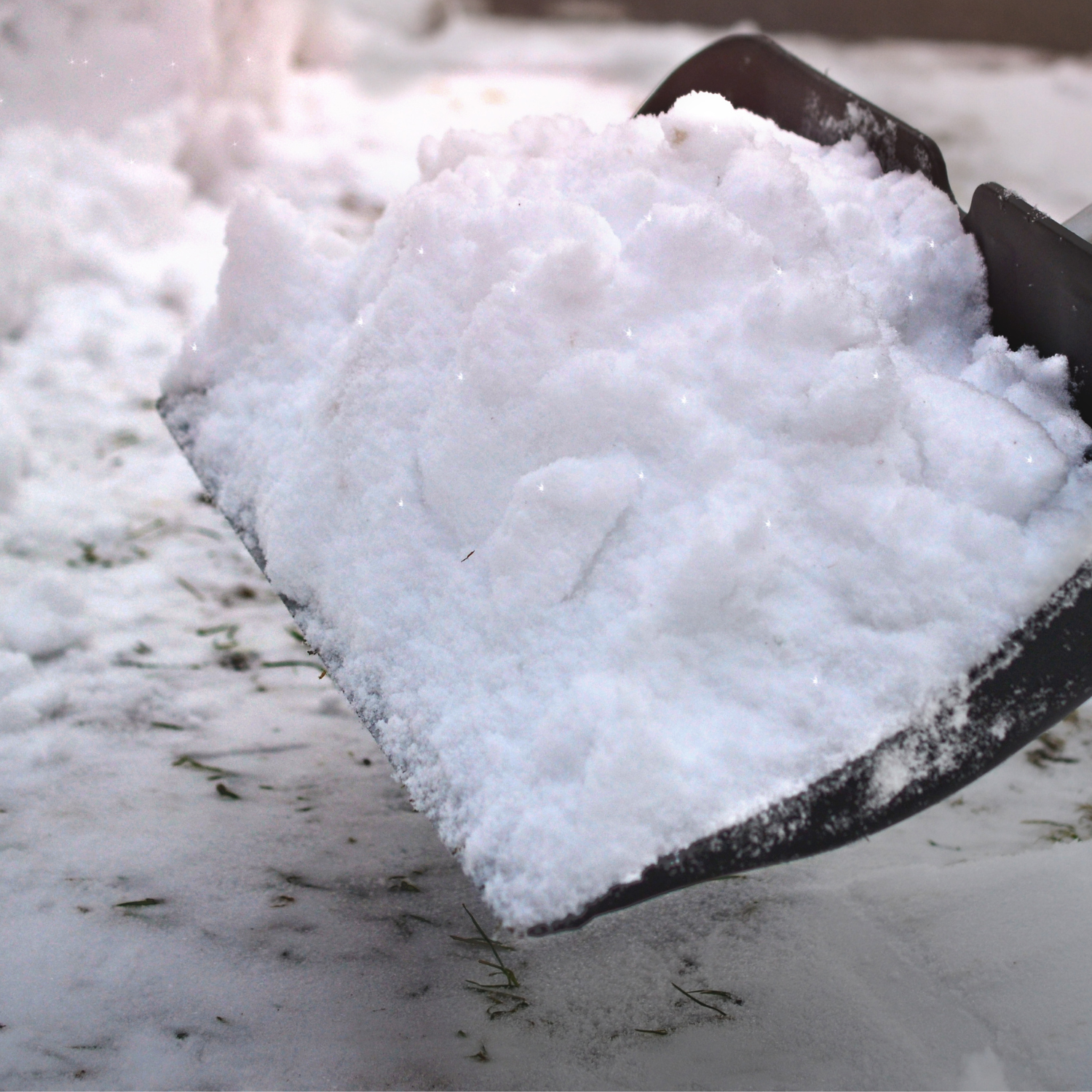 Pala da Neve Nera Multifunzione Manico Legno Lama in Plastica Rinforzata Resistente Bordo Metallo Larghezza Lavoro 40 cm Spala Neve Foglie Terreno Giardinaggio