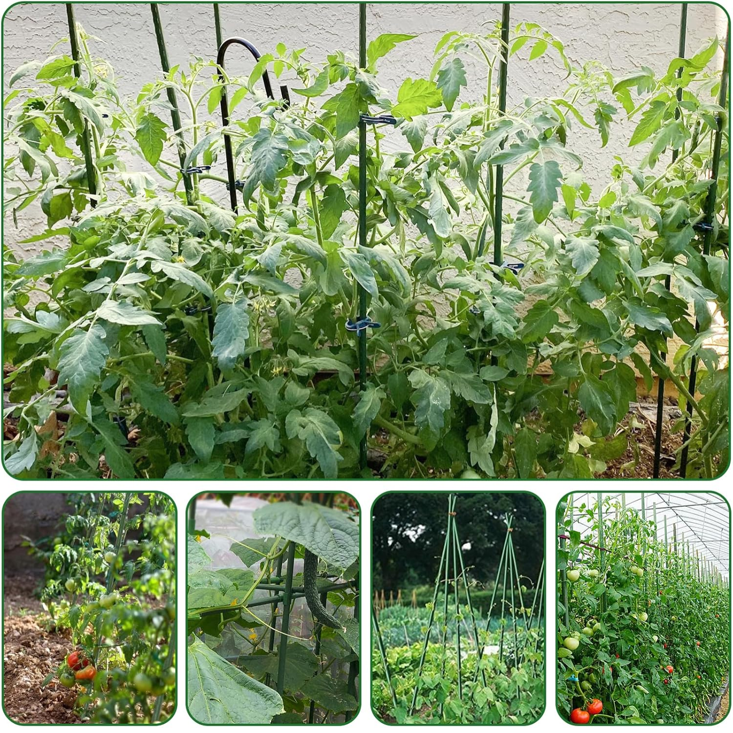 Bastoncini Supporto Piante Rampicanti Cannette Acciaio Plastificato Bastone 1,1 Ø x 150 cm Tutore Verde Giardino Orto Pomodori Melenzane