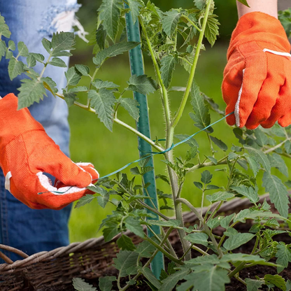 Bastoncini Supporto Piante Rampicanti Cannette Acciaio Plastificato Bastone 1,1 Ø x 180 cm Tutore Verde Giardino Orto Pomodori Melenzane