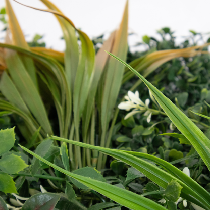 Siepe Artificiale Esterno 50 x 50 cm Set 4 Pannelli Decorativi 3D Effetto Naturale Parete Foglie Realistiche Erba Bosso Sintetica Interno Esterno Balcone Cortile Bar Ristorante